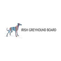 Irish Greyhounds